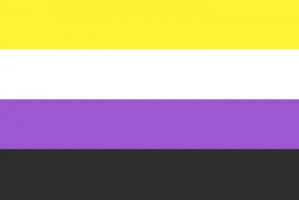 LGBTQ Non Binary Pride Flag 3'x5' with Grommets picture