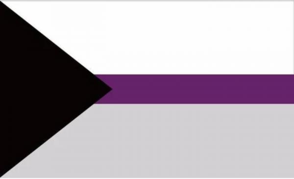 LGBTQ Demisexual Pride Flag 3'x5' with Grommets picture