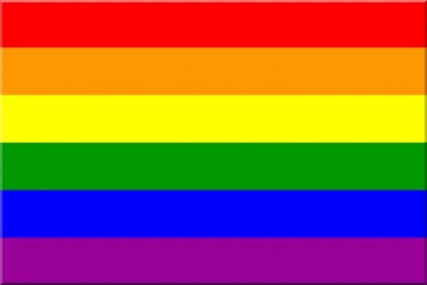 LGBTQ Rainbow Pride Flag 3'x5' with Grommets picture