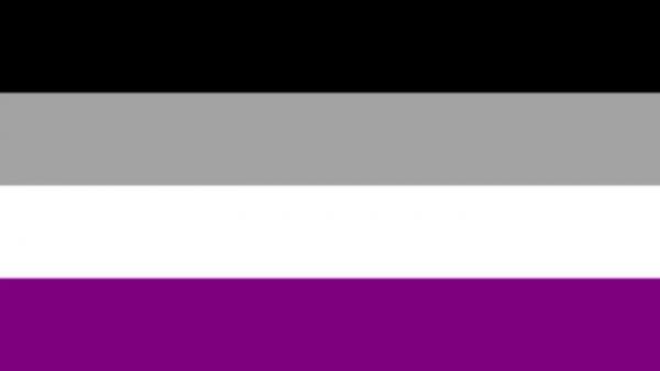 LGBTQ Asexual Pride Flag 3'x5' with Grommets