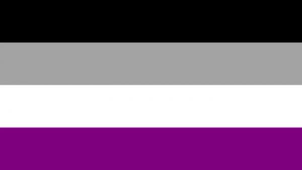 LGBTQ Asexual Pride Flag 3'x5' with Grommets picture