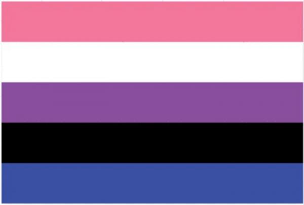 LGBTQ Genderfluid Pride Flag 3'x5' with Grommets
