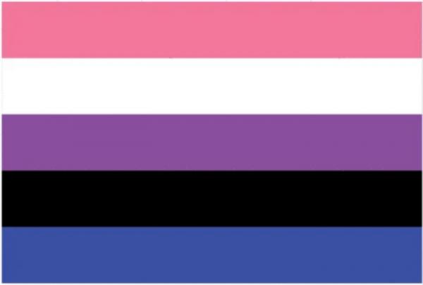 LGBTQ Genderfluid Pride Flag 3'x5' with Grommets picture