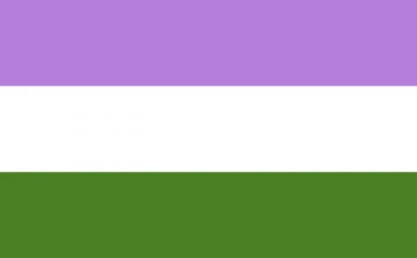 LGBTQ Genderqueer Pride Flag 3'x5' with Grommets
