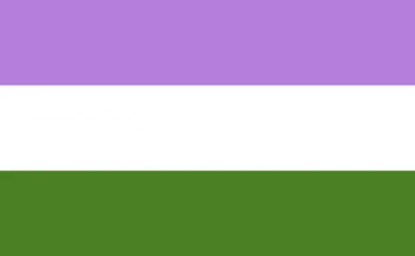 LGBTQ Genderqueer Pride Flag 3'x5' with Grommets picture