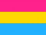 LGBTQ Pansexual Pride Flag 3'x5' with Grommets