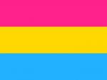 LGBTQ Pansexual Pride Flag 3'x5' with Grommets