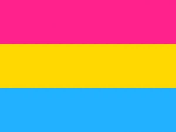 LGBTQ Pansexual Pride Flag 3'x5' with Grommets