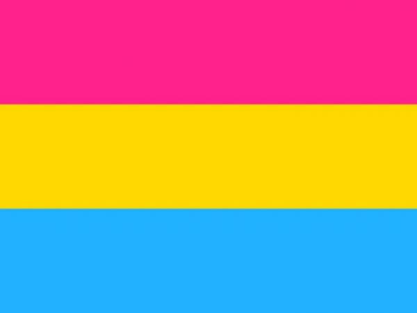 LGBTQ Pansexual Pride Flag 3'x5' with Grommets