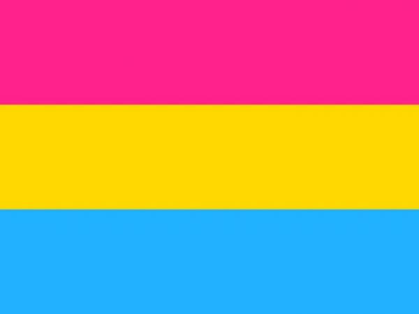 LGBTQ Pansexual Pride Flag 3'x5' with Grommets picture