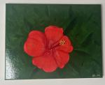 Chels Paints