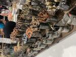 FairyShop
