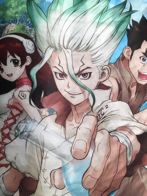 Dr Stone Wall Scroll Tapestry Poster picture