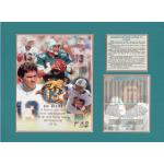 Dan Marino Miami Dolhpins Retires Tribute