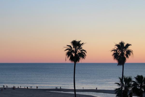 Sunset Palms. Santa Monica, CA picture