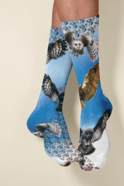 Owl Long Socks picture