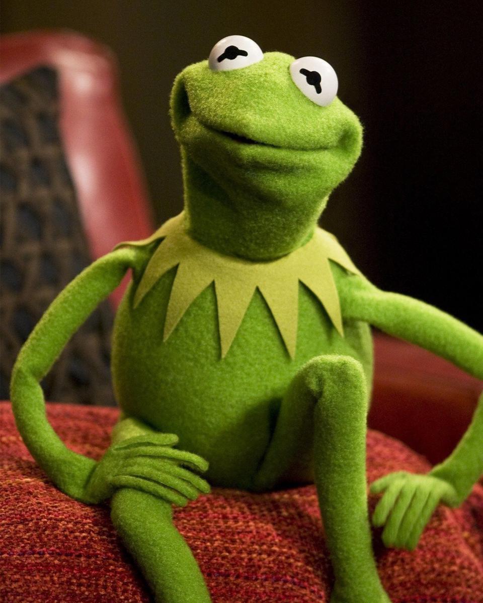 Steve Whitmire GalaxyCon Richmond 2026 8x10/8x12 Autographs picture