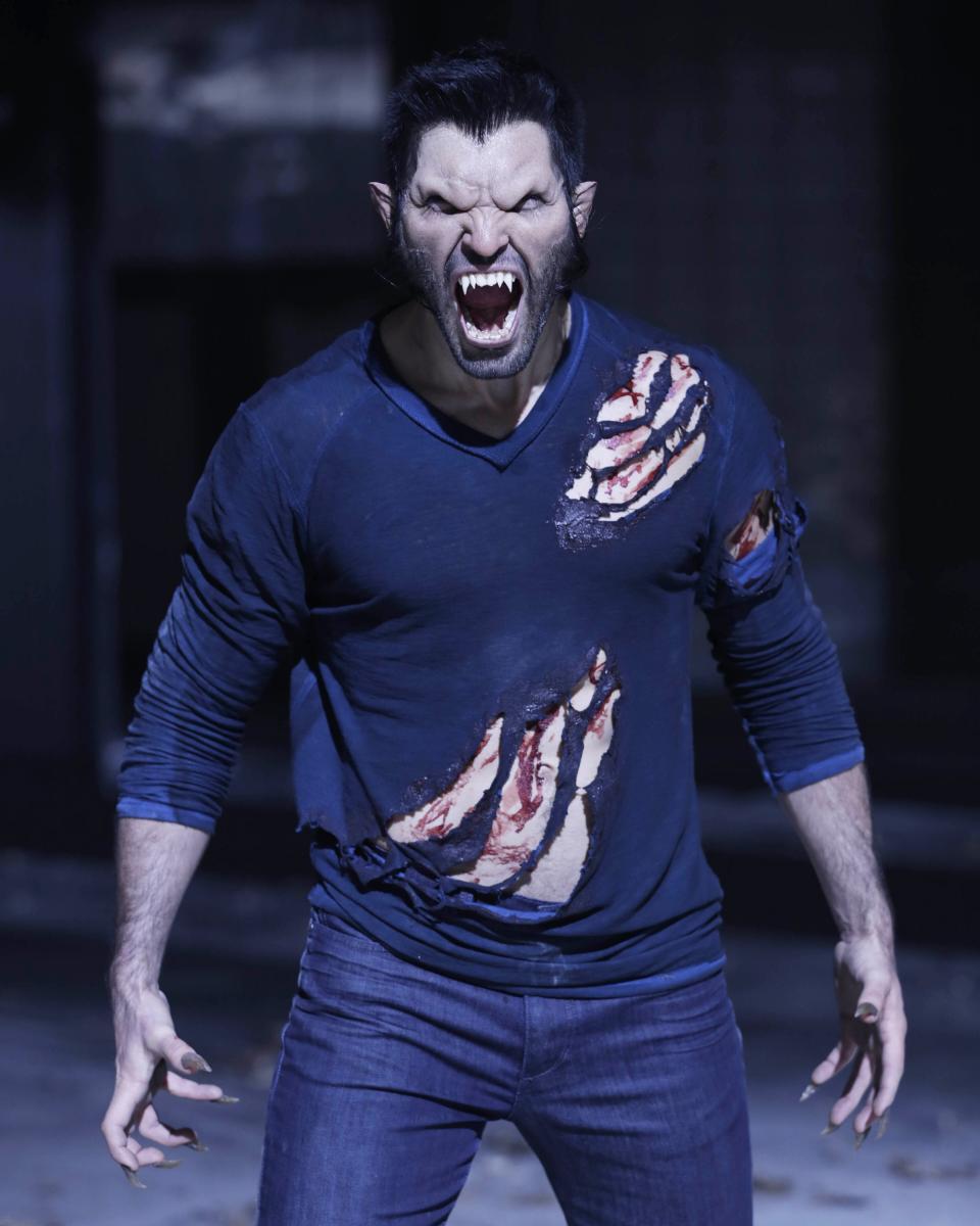 Tyler Hoechlin GalaxyCon Richmond 2026 8x10/8x12 Autographs picture