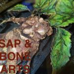 Sap and Bone Arts