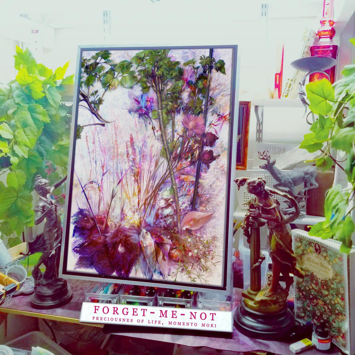 Forget-me-not picture