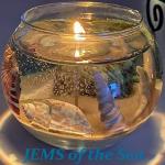 JEMS of the Sea