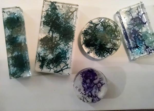 Resin Glow Moss for pendant/earrings picture