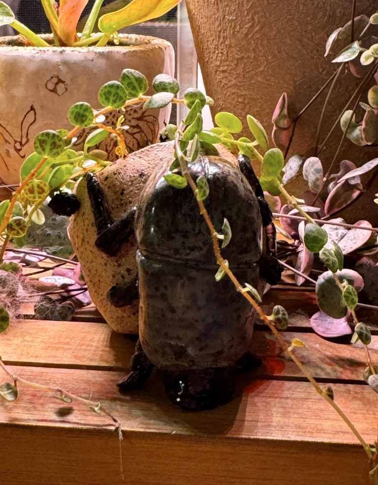 Dung Beetle Ceramic Pot / Planter, custom made picture