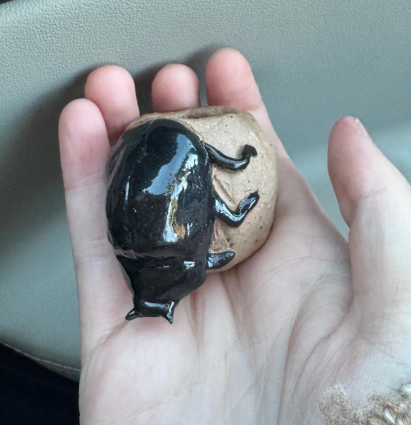 Dung Beetle Ceramic Pot / Planter, custom made picture