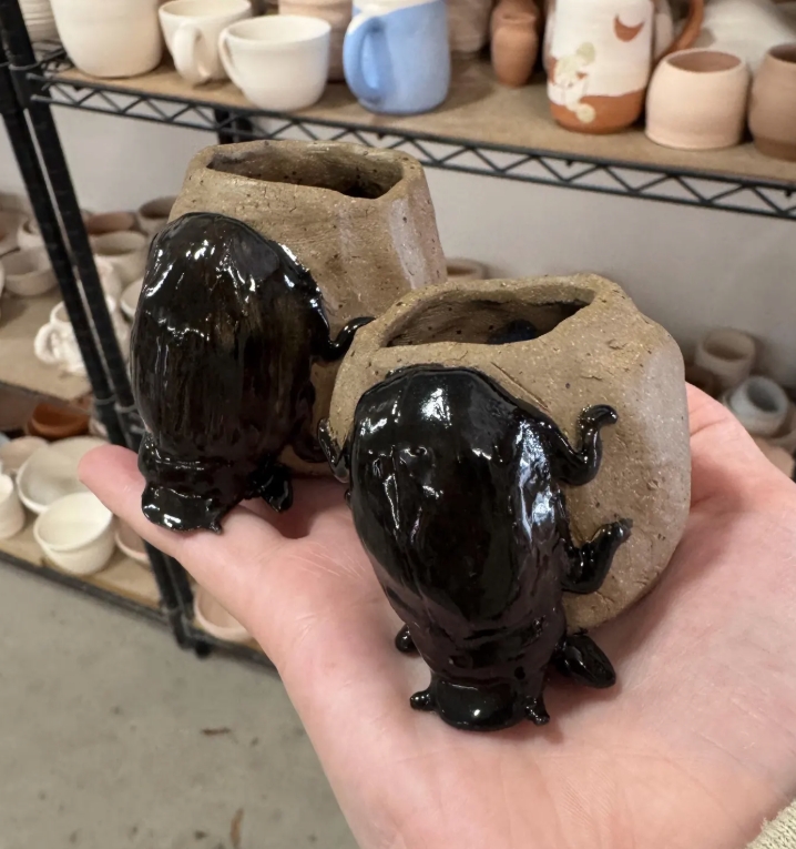 Dung Beetle Ceramic Pot / Planter, custom made picture