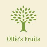 Ollie's Fruits
