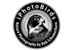 iPhotoBirds