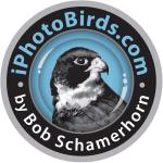iPhotoBirds