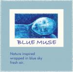 Blue Muse Studios