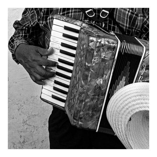 Accordion framed matted  archival 24x24 pigment print picture