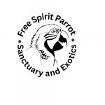 Free Spirit Parrot Sanctuary and Art of the Wood