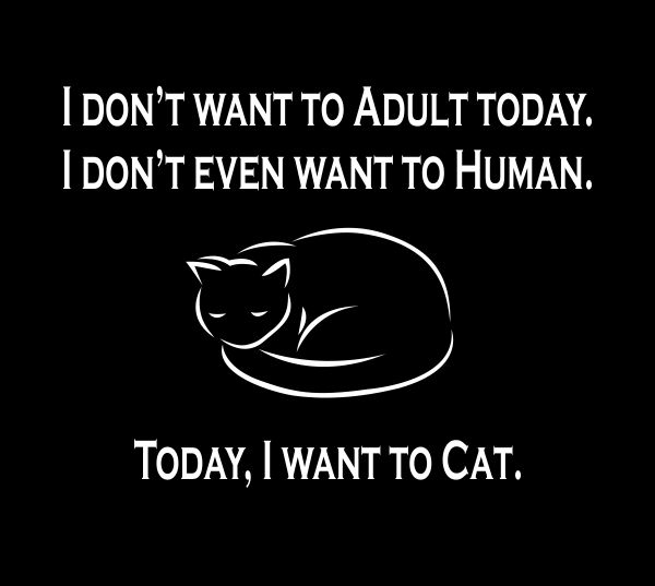 "Today I Want to Cat" T-shirt picture