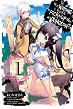 IS IT WRONG TO TRY TO PICK UP GIRLS IN A DUNGEON Manga picture