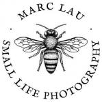 Small Life Photography