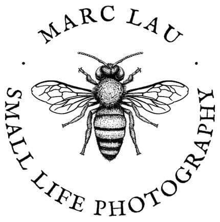 Small Life Photography