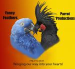 Parrot Productions/Fancy Feathers