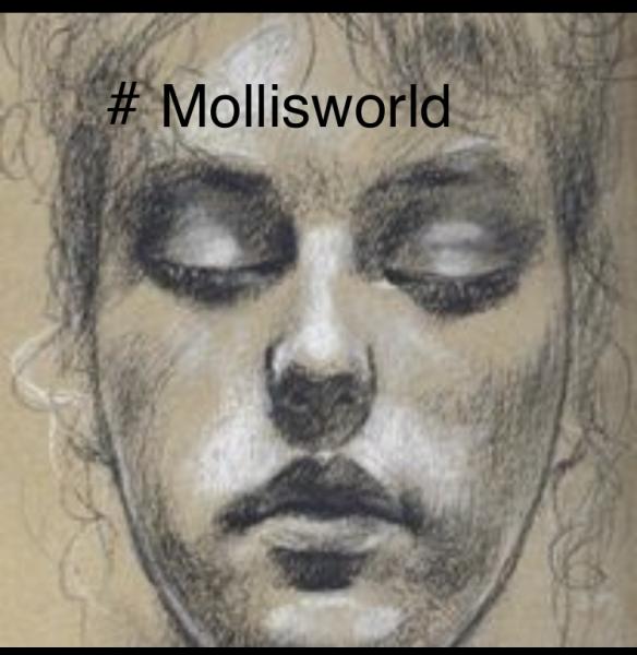 Mollisworld360