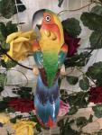 12'' Wooden Carved Parrot