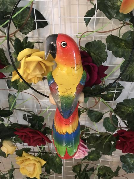 12'' Wooden carved Parrot
