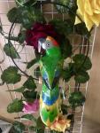 12''Wooden Carved Parrot