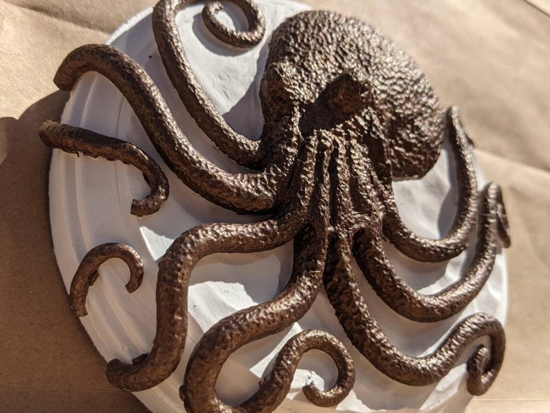 Bronze Octopus Plaque picture
