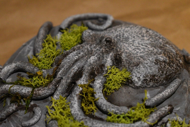 Mossy Stone Octopus Plaque picture