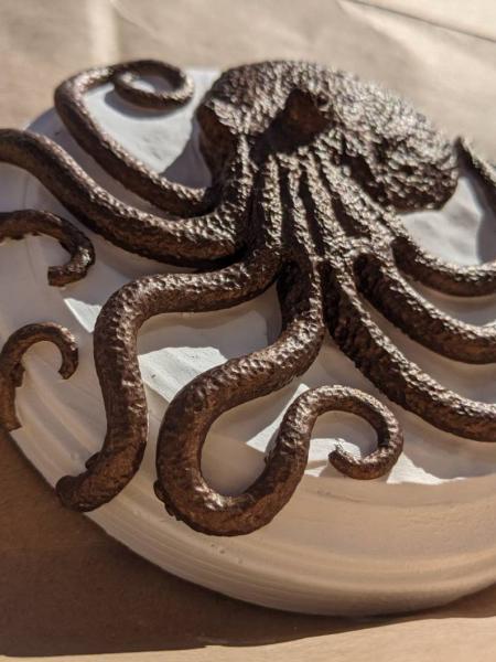 Bronze Octopus Plaque picture