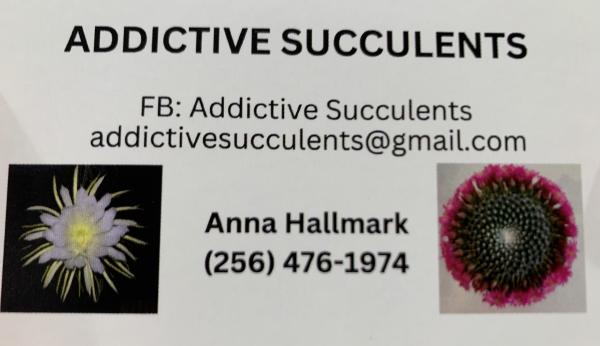 Addictive Succulents