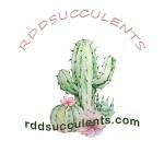 Rddsucculents