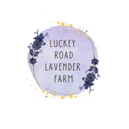 Luckey Road Lavender Farm